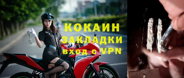 ECSTASY Ельня