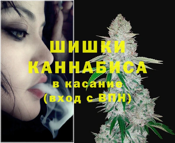 сатива Елабуга