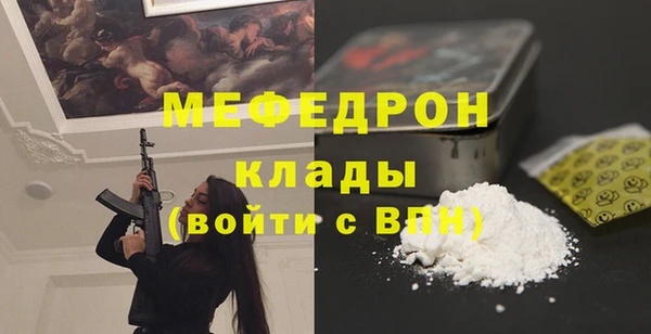 ECSTASY Ельня