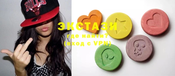 ECSTASY Ельня