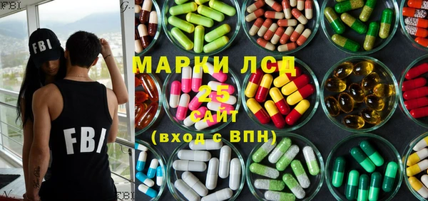сатива Елабуга