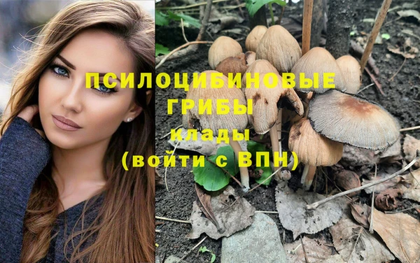 синтетический гашиш Елизово