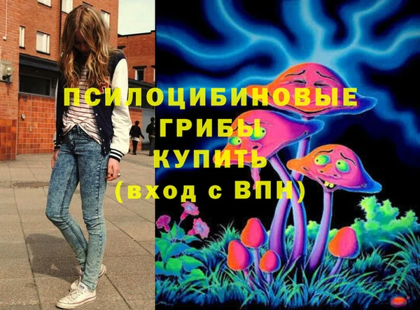 сатива Елабуга