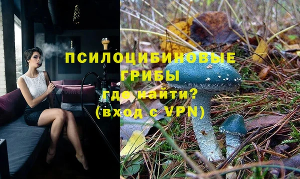 сатива Елабуга