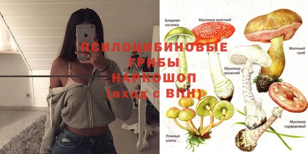 герыч Дмитровск