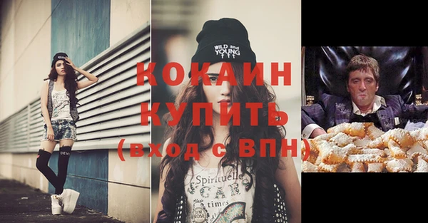 ECSTASY Ельня