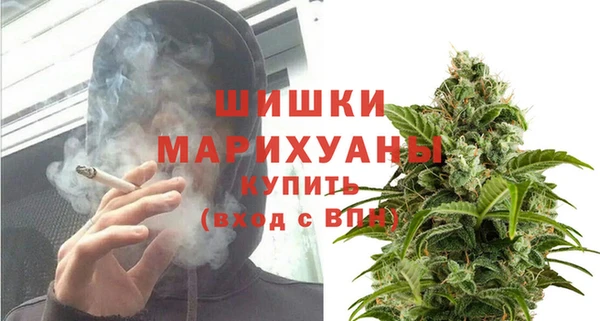 сатива Елабуга