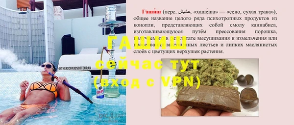 сатива Елабуга