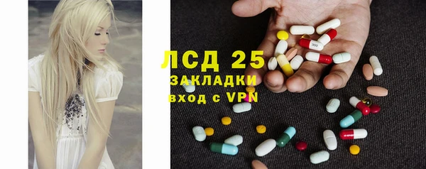 сатива Елабуга