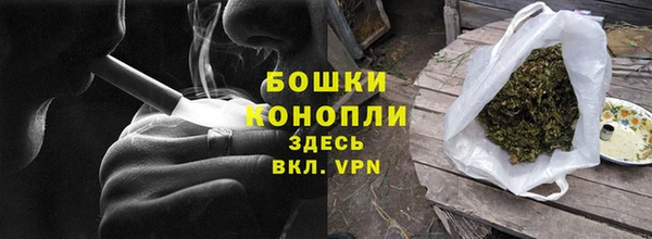ECSTASY Ельня