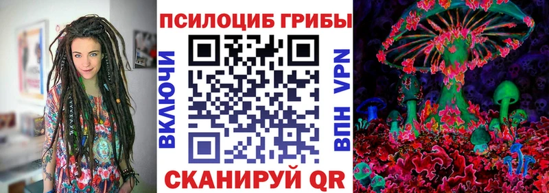 Галлюциногенные грибы MAGIC MUSHROOMS  Купить закладки  Шатура 